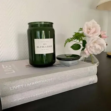 Apartment Smakfull Centrumlaegenhet, 3 R + K, 80 M2 Mariehamn